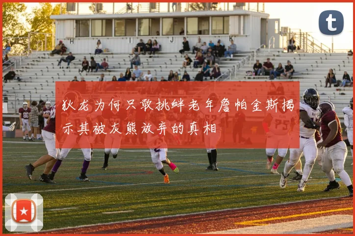 狄龙为何只敢挑衅老年詹帕金斯揭示其被灰熊放弃的真相